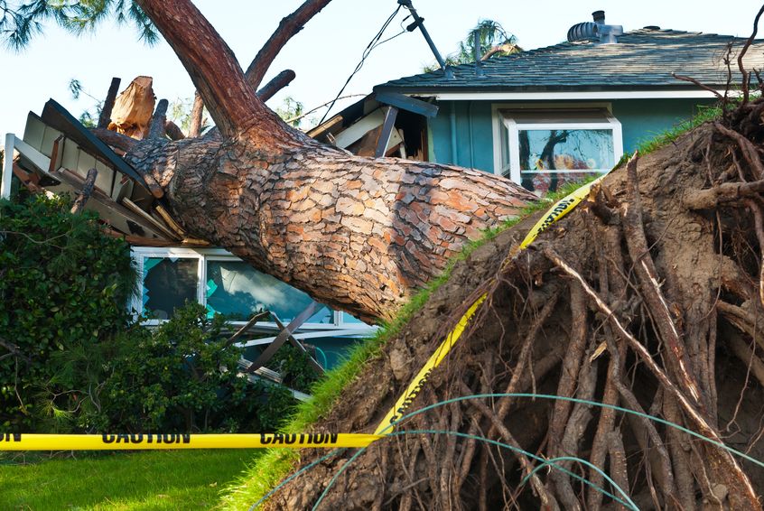 Need to File a Storm Damage Claim? 1