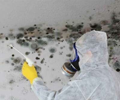 Mold claims adjuster